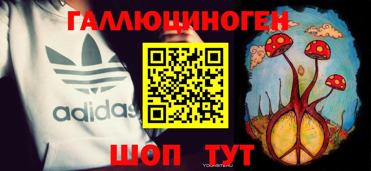 Псилоцибиновые грибы Magic Shrooms  Псилоцибиновые грибы GOLDEN TEACHER  Зеленогорск  Вход с VPN 